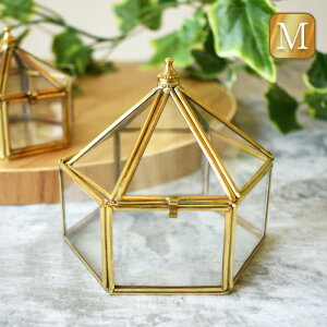 ^JƃKX̏ Wt{bNX STCY MTCY W Zp{bNX WG[{bNX Os[ ANZT[ [ fBXv[ ^J KX uX brass F ^ 