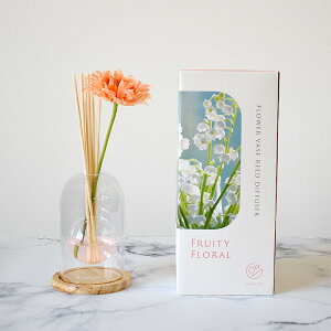 A[eBtBV t[x[X [hfBt[U[ J[l[V K[x [tOX A}fBt[U[  i bNX tbV XN t[ 