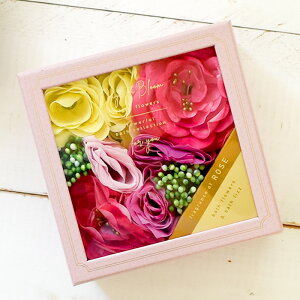 oXy^tBY BOX  oXt[Mtg t[AWoXy^ oXtBY [Y K[fjA Ԃт  \[vt[ t[oXy^ ouoX AC