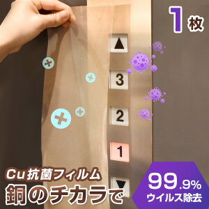 RۃtB CI 40×100cm 1 ۃV[g ڐG\hV[g ^b`plΉ hAmu Gx[^[  肷  ڐG  R V[g RECX tB Cu  V