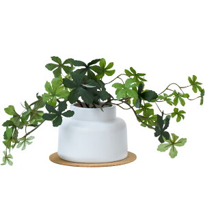 CTG} tFCNO[ 픫(M) RNR[X^[t N[o[ ACr[  CeAO[ GNA O[i[Ct C~e[V  A  A[eBtBV 