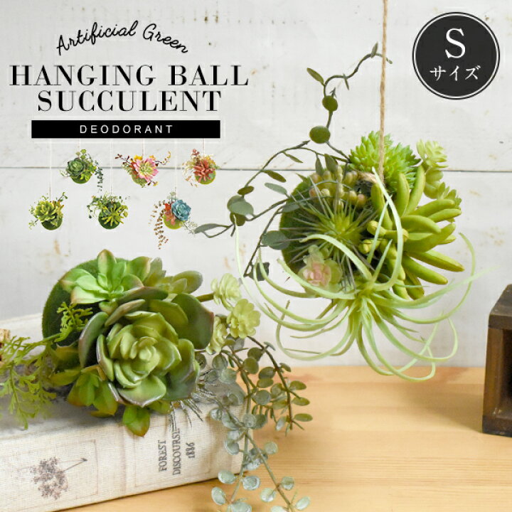 楽天市場】CT触媒 多肉植物 吊り下げボール Sサイズ ハンギングサキュレント フェイクグリーン インテリアグリーン 観葉植物 造花 葉っぱ 置物  人工 サボテン イミテーション アーティフィシャル 消臭 抗菌 人工観葉植物 鉢植 御祝 花 アレンジ リアル ギフト プレゼント ... KryZaro播種機吊り下げ式猫デザインプランター 多肉植物/サボテン/空気植物用装飾花瓶 置物像植木鉢 室内外装飾対応 スペース効
