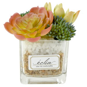 CTG} A KXp STCY ~j T{e XNGA{g tFCNO[ CeAO[ ϗtA  XNGAKX lH   C~e[V A[eBtBV 