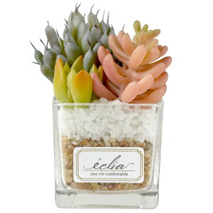 CTG} A KXp STCY ~j T{e XNGA{g tFCNO[ CeAO[ ϗtA  XNGAKX lH   C~e[V A[eBtBV 