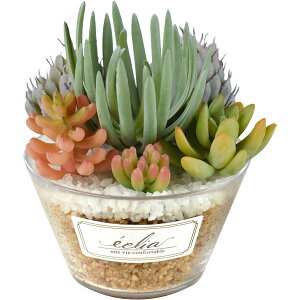 CTG} A KX۔ LTCY 񂹐A T{e Eh{g tFCNO[ CeAO[ ϗtA eE GNA  lH C~e[V A[eBtBV 