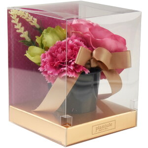 z_X[p[SALE^ CTG} t[|bg(S) bsOt uL|bg tFCNO[  CeAO[ ϗtA C~e[V J[l[V A[eBtBV L 