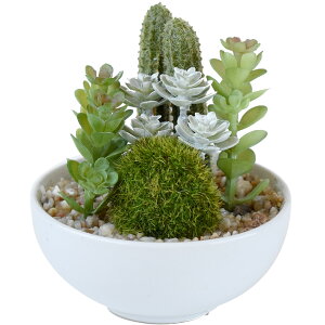 CTG} A TLgtE A۔  T{e tFCNO[ CeAO[ ϗtA  lH XNGAKX  C~e[V A[eBtBV 