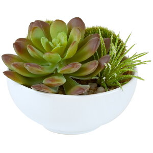 CTG} A TLgtE A۔  T{e tFCNO[ CeAO[ ϗtA  lH XNGAKX  C~e[V A[eBtBV 