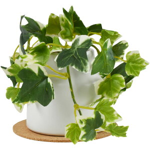 CTG} tFCNO[ 픫(S) RNR[X^[t N[o[ ACr[  CeAO[ GNA O[i[Ct C~e[V  A  A[eBtBV 