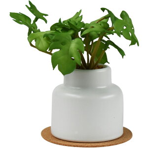 CTG} tFCNO[ 픫(S) RNR[X^[t N[o[ ACr[  CeAO[ GNA O[i[Ct C~e[V  A  A[eBtBV 