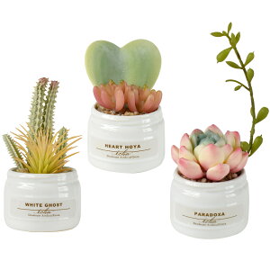 CTG} JtA 3PZbg ~j T{e {g tFCNO[ CeAO[ ϗtA  lH   C~e[V A[eBtBV L R lHϗtA A