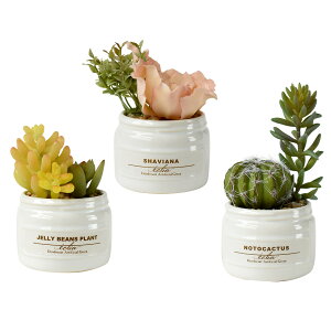 CTG} JtA 3PZbg ~j T{e {g tFCNO[ CeAO[ ϗtA  lH   C~e[V A[eBtBV L R lHϗtA A