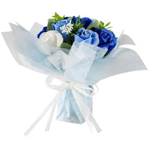 \[vt[ X^fBO u[P NAobOt [Y AWg  ͂Ȃ A[eBtBV ỏԑ  tOX\[v Ϗܗp Ό A} 