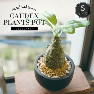 CTG} R[fbNXS 򍪐A tFCNO[  킢 GNA A EB][ tBIiN OLX CeAO[ ϗtA  A[eBtBV i`