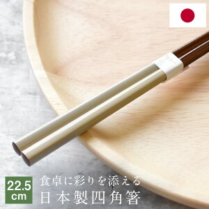 {@ Jt V 22.5cm  }C pbgJ[ Vv lp jp ͂ qǂp VR  ~߉H Y ؐ c[g[J[ VbN Jg[ JW