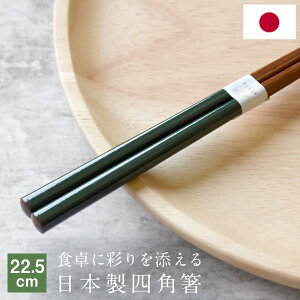 {@ Jt V 22.5cm  }C pbgJ[ Vv lp jp ͂ qǂp VR  ~߉H Y ؐ c[g[J[ VbN Jg[ JW