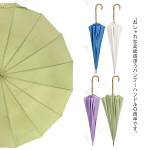 JP Jp P n Vv | ou[ 16{ ɋ ϕ  ~J΍  fB[X  Mtg v[g