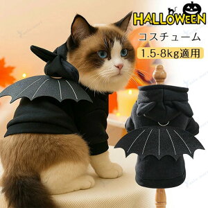 nEB ybg  L  RXv  ybg̕ p[J[ L lR  RX`[  킢 ʋC _炩 nEB[  ϑ ߑ U o ʐ^ Be 