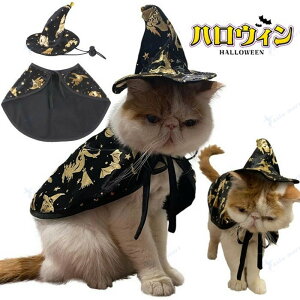 nEB ybg   L RXv  L }gXq 2_Zbg  ybg̕ L lR  RX`[  킢 ʋC _炩 nEB[  ϑ ߑ U 