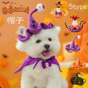  L nEB RXv  ߑ Xq ^ ^ ^ 蕨  Xq ϐg OpXq p[eB[ 킢 ҂ ҂ ҂݃jbgXq ʐ^Be