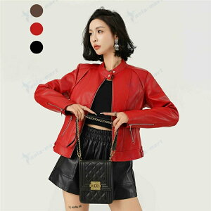 U[WPbg fB[X PU WPbg  t H X^h   vW v U[ C_[XWPbg C_[X אg JWA oCNWPbg  H u