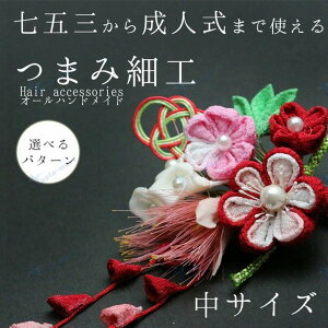 ܎OEl߂׍H񂴂wAANZT[ TCY a wAANZ    sN F t[ NR[f  yAbN v[g Mtg  a w 