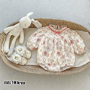 xr[ԕp[X ̎q Ԃ {Q މ@ oYj xr[ V v[g Mtg ꒅ ʐ^Be މ@ H j j ؍q  t  H ~ i` 66cm 