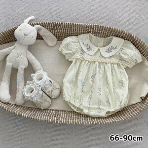 xr[tԕ`[thXp[X ̎q Ԃ {Q މ@ oYj xr[ V v[g Mtg ꒅ ʐ^Be މ@ H j j ؍q  t 