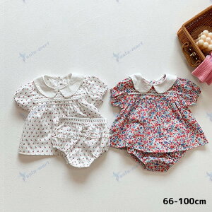 ԕ `F[ EhJ[gbvX u}2_Zbg ̎q {Q މ@ oYj Zbg xr[ V v[g Mtg ꒅ ʐ^Be Sj 100j n[to[Xf[ j