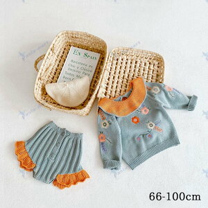 hJtJ[ZbgAbv Ԃ ̎q {Q މ@ oYj Zbg xr[ V v[g Mtg ꒅ ʐ^Be މ@ H Sj 100j n[to[Xf[ j 