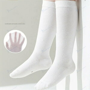 j̎q̎qLbYqpC nC\bNX\bNX zCgn jp wwZ tH[}󌱖ʐڗp ɗDf Snǂ tBbg ɋ 