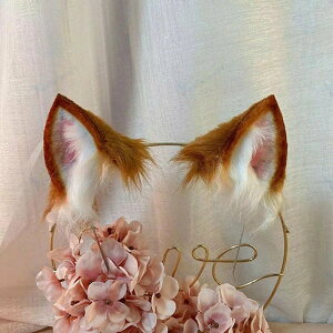 �R�X�v������A�N�Z�T���[ �T�������ݐK���� ����������� ���ǉ��� �R�X�`���[���p �n���E�B�������Պw���� �p�[�e�B�[���� ��G��_�炩�� �������₷�� ���O���ȒP �����\ ���o