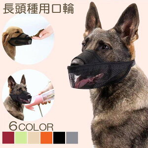    ̃}Y J h~ EH~ ݃OZ ʋCQ p}Y   ʖi ݂h~ LYȂߖh~ pi