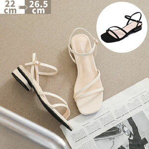 fB[X T_ ėp 킢  r T_ ʋ ItBX l C V[Y ĕ Ȃ q[3cm ~ ɂȂ  ig ubN x[W 22cm 22.5cm 23cm