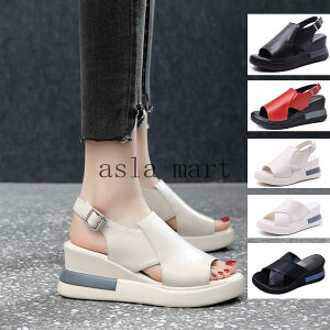 fB[XT_ fUCŔr & gAbv _CGbgV[YoŒ₷  / zCgWJ nCJbgdl zCgf[.̓v[gɍœK Sn