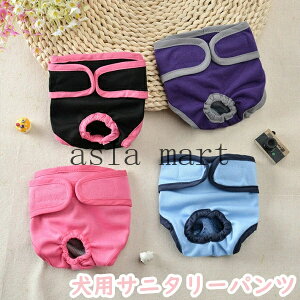 p Tj^[pc }i[pc 2_Zbg 4color p }i[EFA D  pi ނJo[  PApi ppEFA U o ybgG  ybgp q