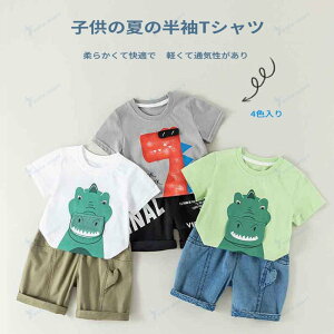 TVc LbY gbvX  Rbg vg j̎q ̎q w c ʊw i o TCY v[g q Jbg\[ ^Ngbv |Vc LN^[   