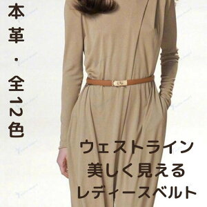 v fB[X xg S12F Vo[ S[h obN XChxg  tH[} ItBX U[ { {v Lk ^[bN Mtg EGXg Nbv rWlX  d