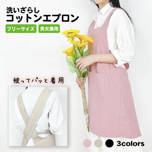 Gv  s[X O 邾 obNNX Gv  킢 ۈm et Gv  s[X fB[X Y jZbNX }C Mtg v[