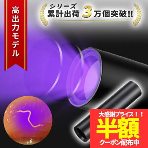 y420`50IzN[|zy݌ɏZ[I1280980~zAjTLXCg ubNCg UVCg AjTLX Cg AjTLXo OCg LEDCg ^ [d  