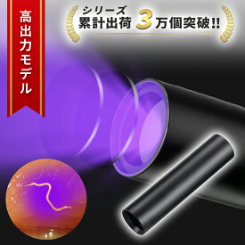 ＼P20倍／アニサキスライト ブラックライト UVライト アニサキス ライト アニサキス検出 紫外線ライト LEDライト 小型 充電式 強力 便利 アウトドア レジャー フィッシング 料理 調理 キッチン 除去 発見 対策 多用途