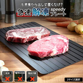 ＼歳末大感謝祭！スーパーSALE半額以下｜全品55%OFFクーポン配布中！／全6タイプ 解凍プレート 急速解凍 業務用 家庭用 自然解凍 冷凍食品対応 解凍板 解凍ツール 高速解凍トレイ 解凍まな板 自然解凍プレート冷凍食品 解凍 肉 刺身 鮮度維持 母の日 お祝いギフト 省エネ