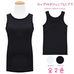 ^Ngbv Jbvt ̎q WjA 炭u Ci[  S2F