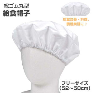 y[֑zHXq q S ی^ LbY WjA j̎q ̎q  n jp S1FyZ[z