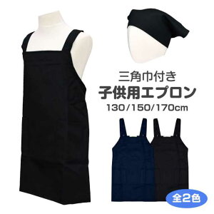 Gv H^ q LbY j̎q ̎q Op 2_ Zbg n jpS2F