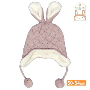 jbgX  t xr[ LbY q ̎q pCbg Xq {AS2F