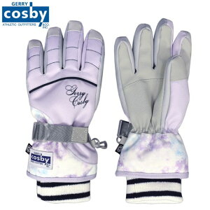 XL[O[u cosby LbY q ̎q zMH ܖ{w XL[ hS3F