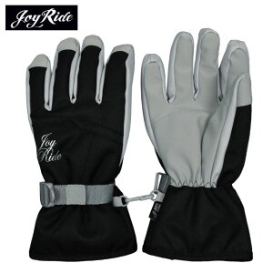 XL[O[u fB[X JOY RIDE zMH t[X ܖ{w X|[cS2F