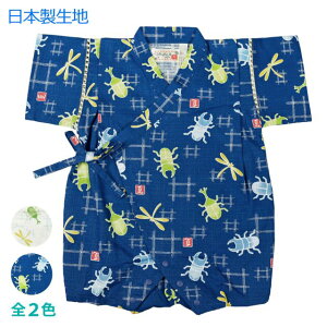 y[֑zxr[ r p[X j̎q q {n JugV NK^ 100S2F