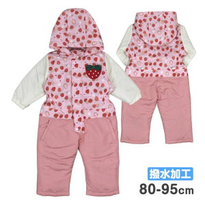 WvX[c  xr[ LbY q ̎q H t[ht sNS1F